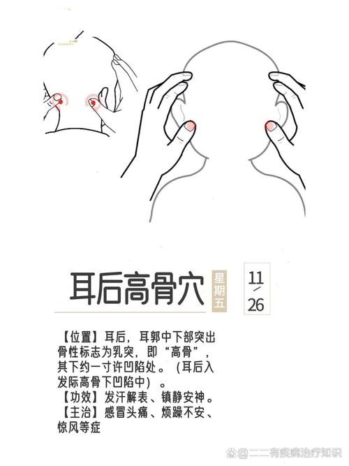 耳朵根后面是什么穴位