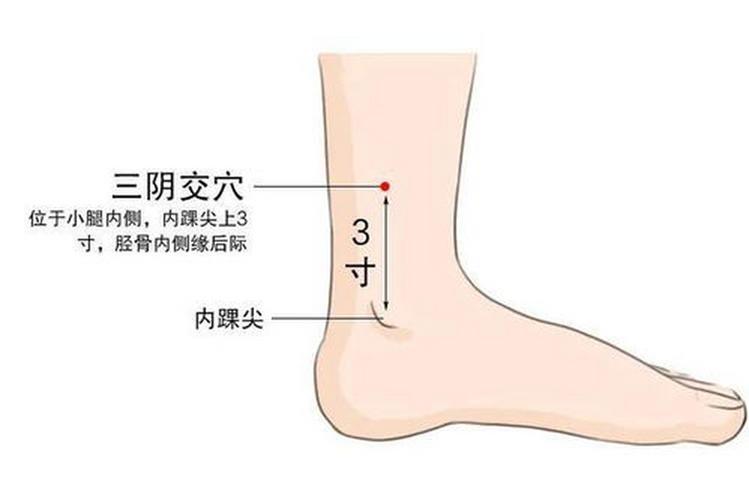 女性尿路感染按摩穴位