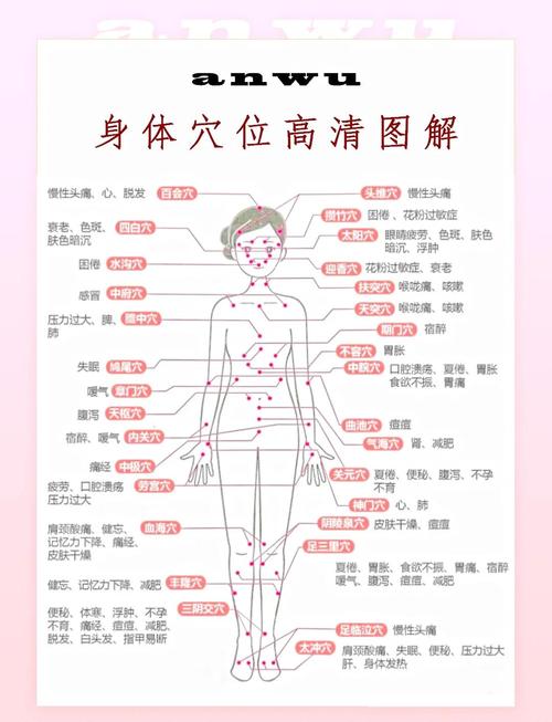 人体常见的穴位有哪些