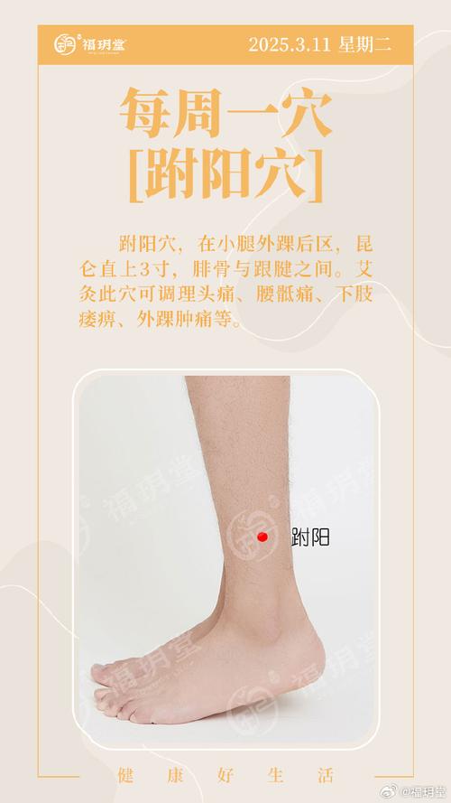 膝盖疼用艾灸什么穴位