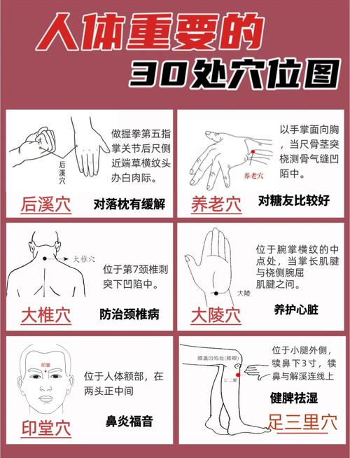 人体经络穴位使用详解