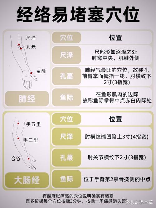 人体经络穴位使用详解