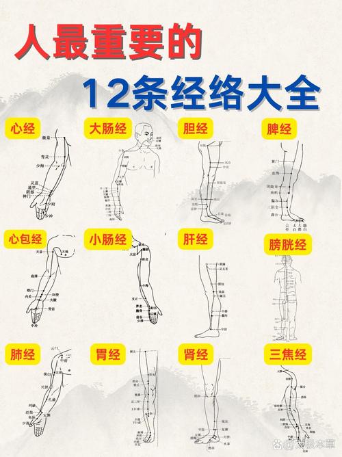 人体经络穴位使用详解