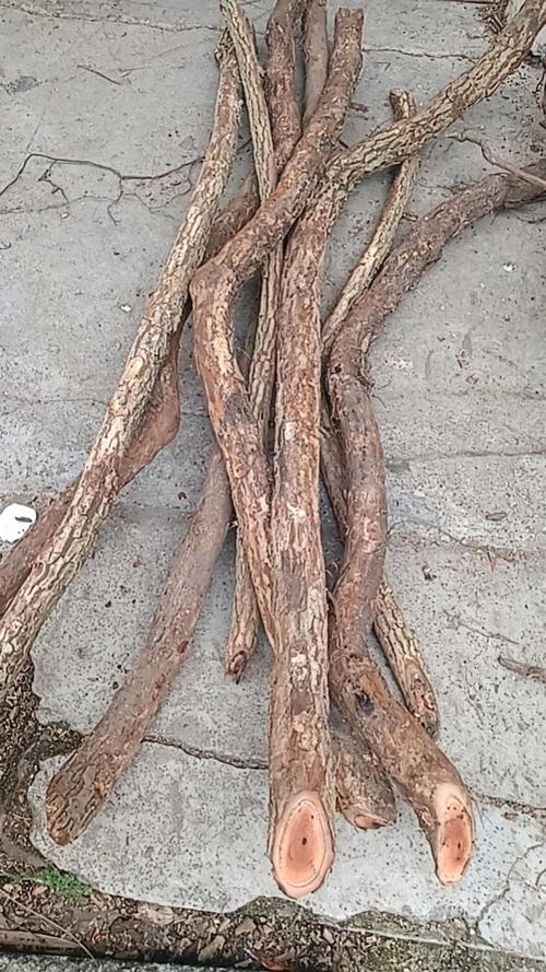 冶风湿娄风湿的中草药