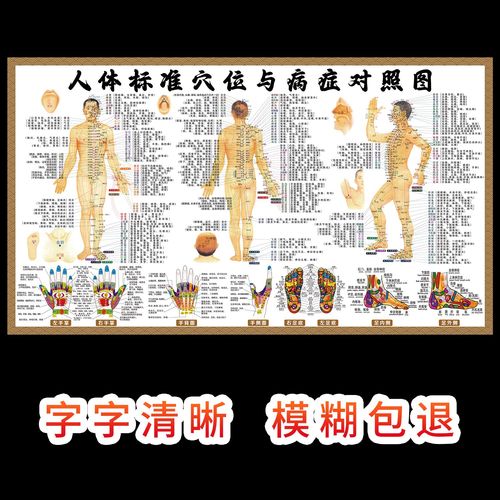人体经络穴位按摩挂图