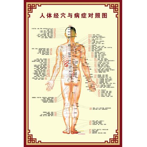 人体经络穴位按摩挂图