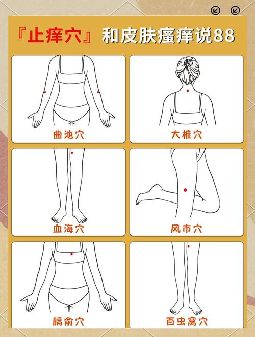 长痘痘应该按哪些穴位