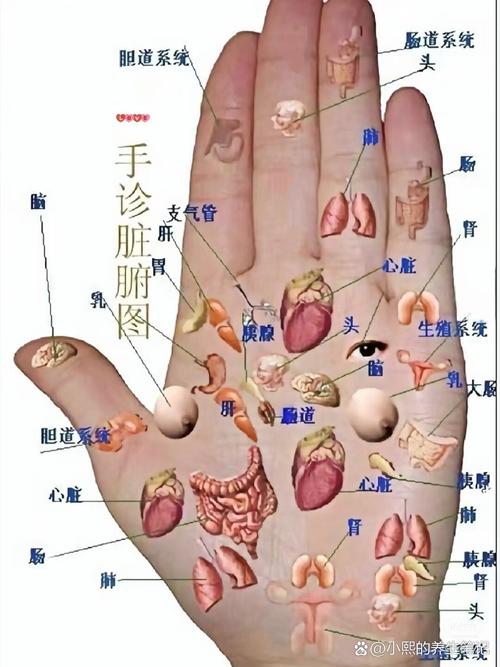 手背穴位图解大全按摩