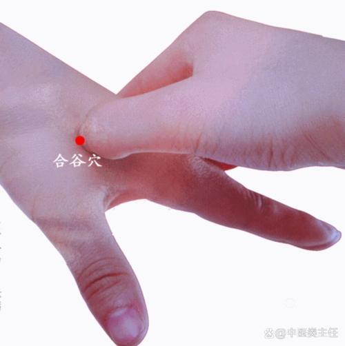 颈椎疼按手上哪个穴位