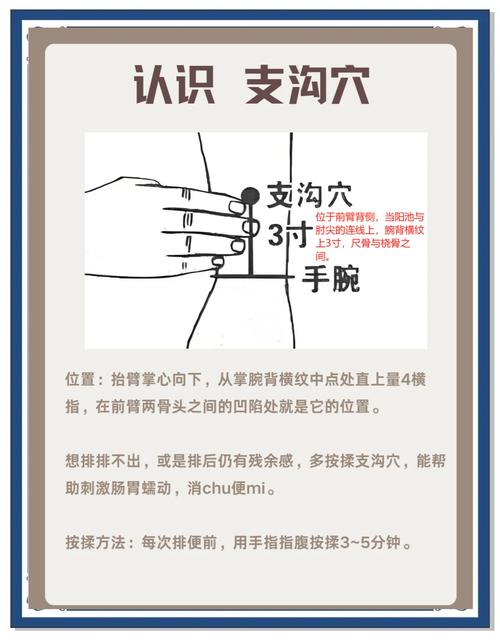 大便不通畅按什么穴位