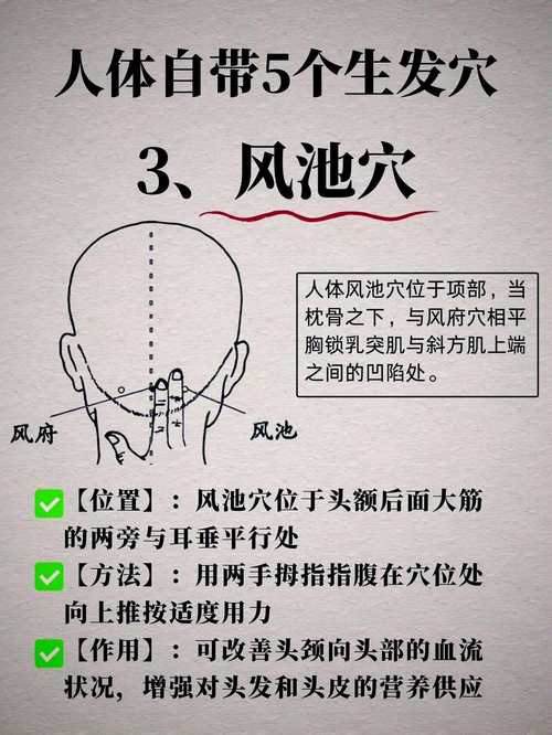 按摩哪个穴位对头发好