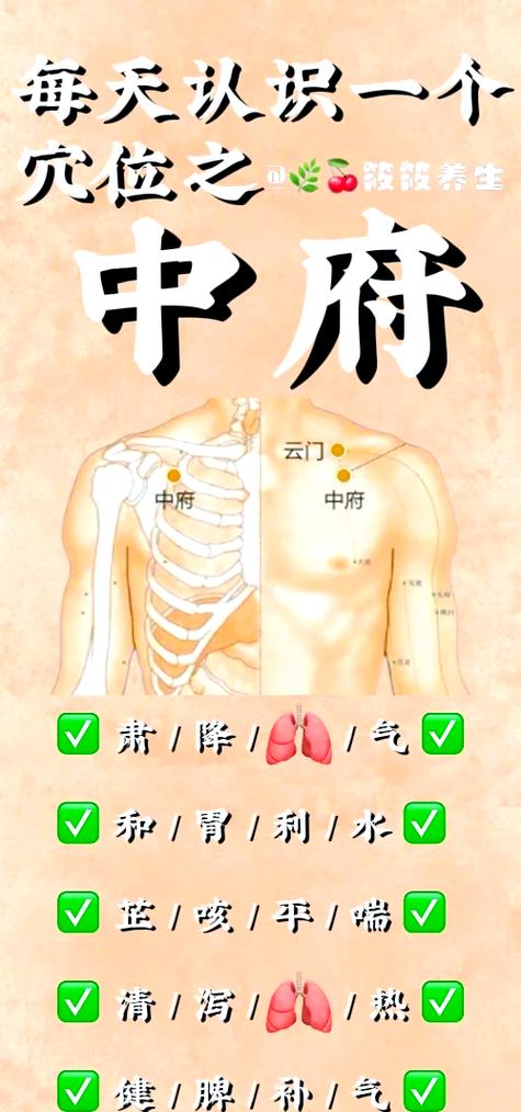 中气不足艾灸哪个穴位