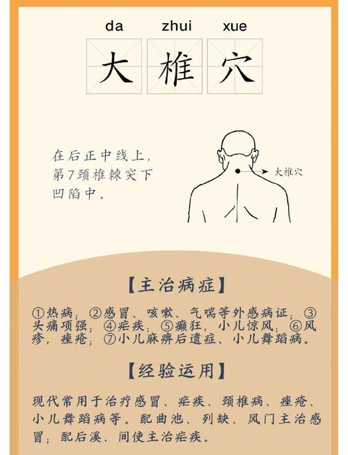 大椎穴位的准确位置图