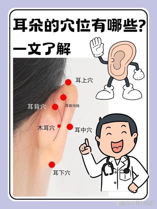 耳朵上抑制食欲的穴位