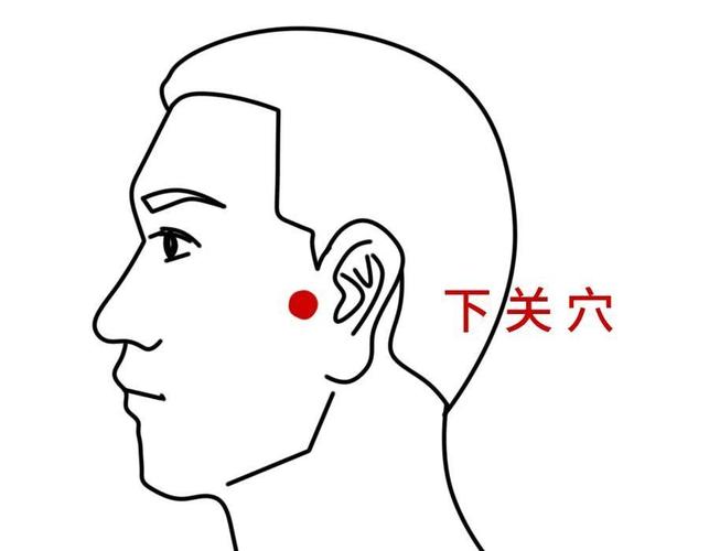 面肌痉挛艾灸什么穴位