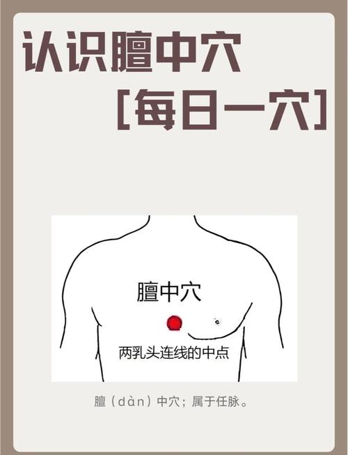 膻中穴位位置图及作用