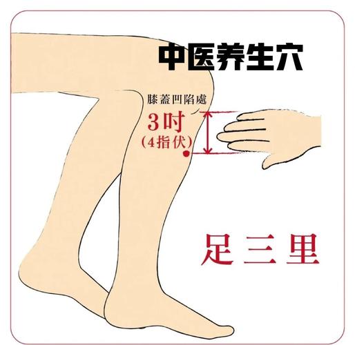 脾肾阳虚按摩什么穴位