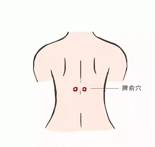 脾肾阳虚按摩什么穴位