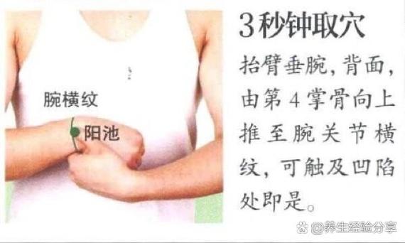 手脚冰凉艾灸什么穴位