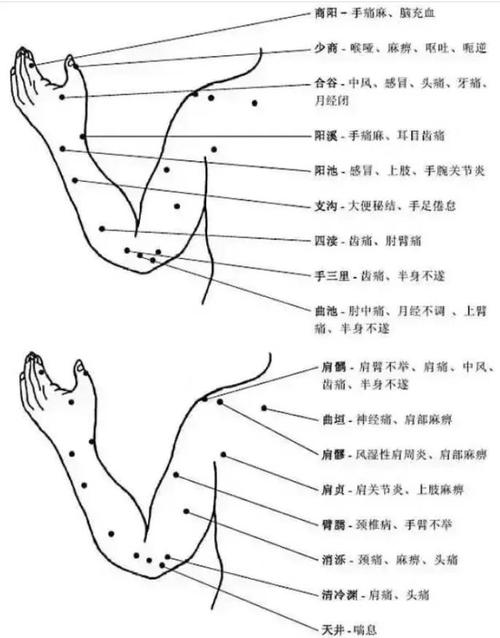 中医经络穴位快速入门