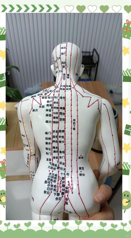 人体穴位高清大图下载