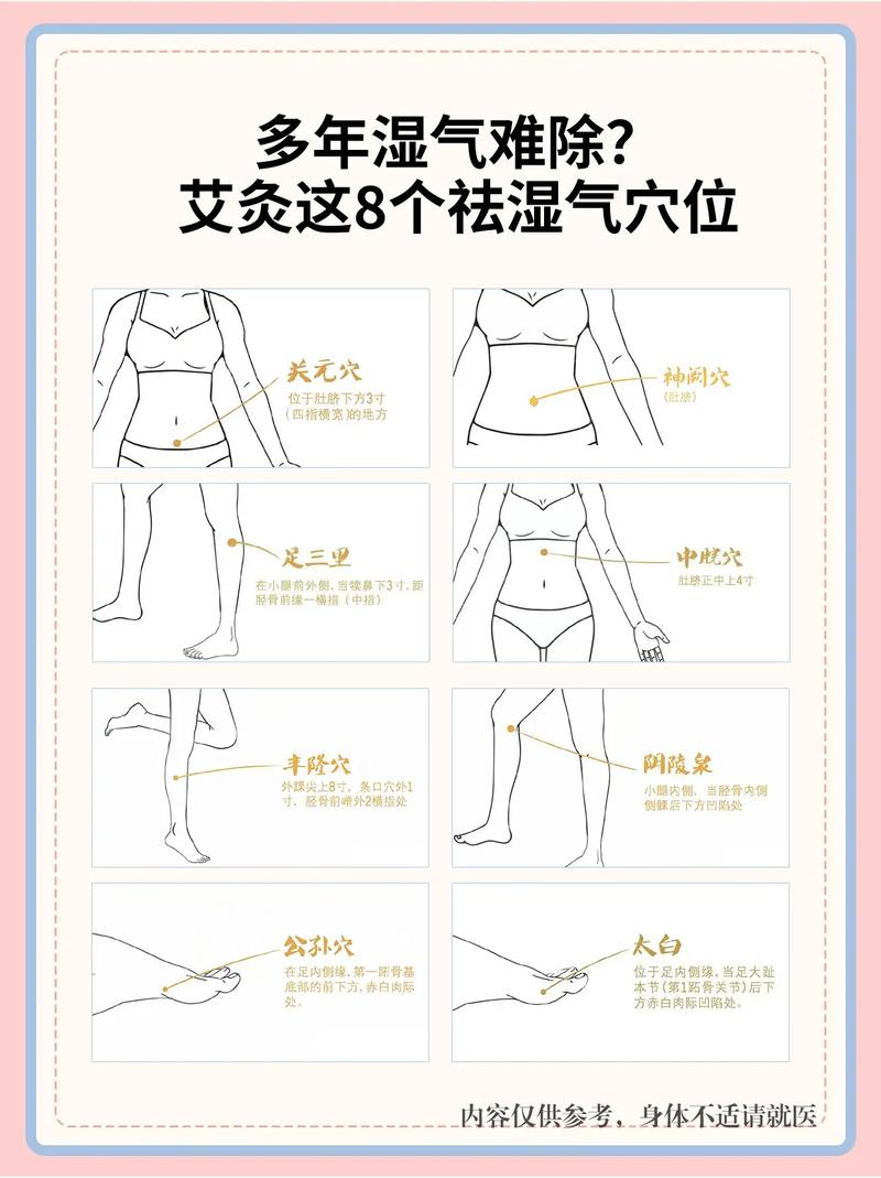 身体湿气重按什么穴位