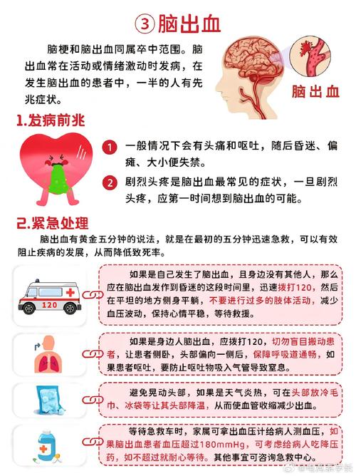 脑梗与腔梗的区别图示