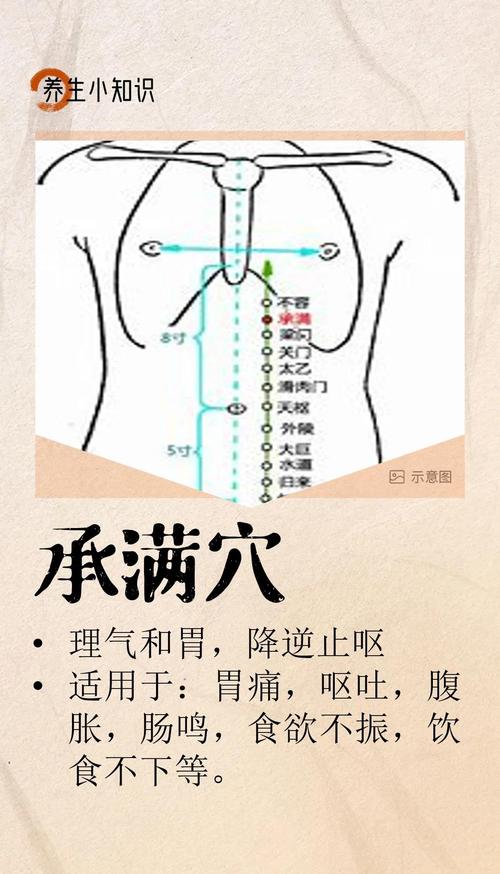 治疗胃炎胃下垂的穴位