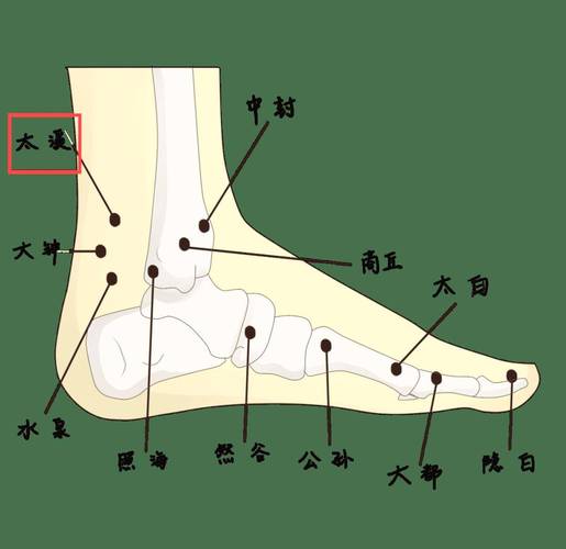 脚后跟疼痛按什么穴位