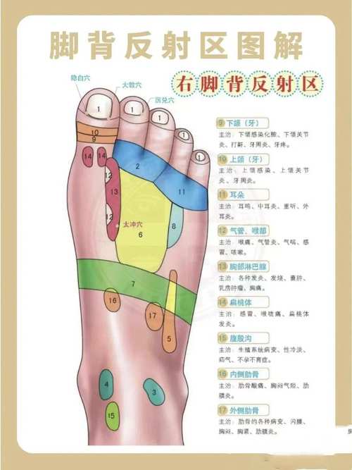 脚面穴位图及按摩方法