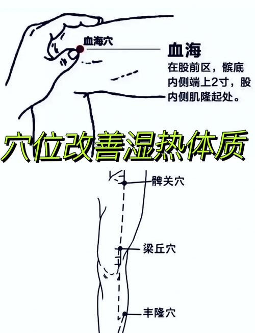 下焦湿热艾灸什么穴位