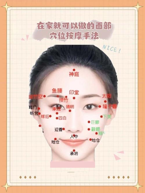 脸上长痘按摩哪个穴位