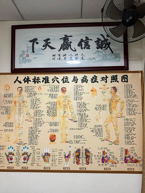 中医艾灸经络穴位病症