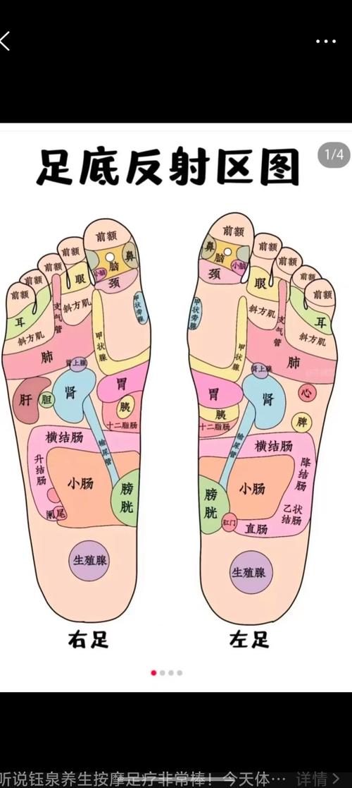 足底按摩穴位图高清图