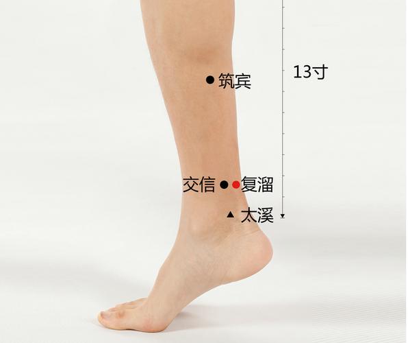 精索静脉曲张按摩穴位