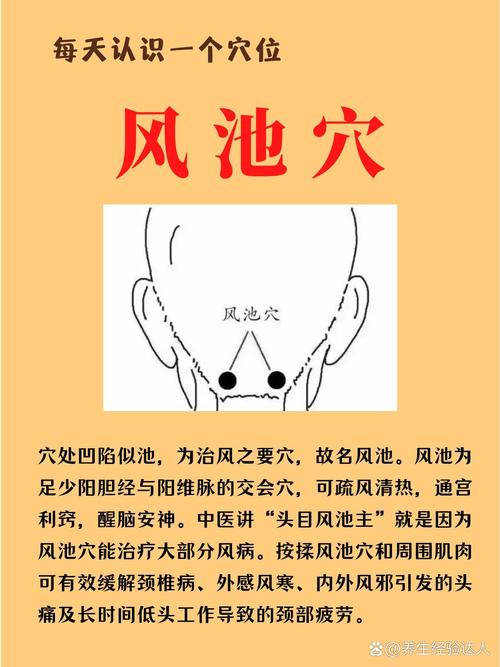 风池穴上面是什么穴位