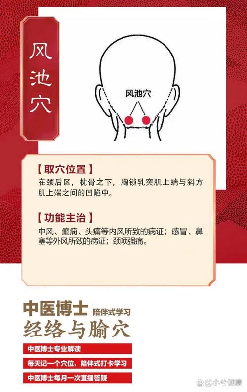 风池穴上面是什么穴位