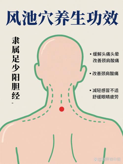 风池穴上面是什么穴位