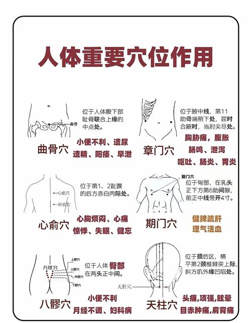 人体穴位作用图解大全