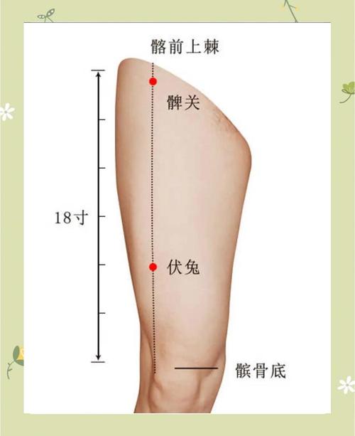 膝盖酸痛艾灸哪个穴位