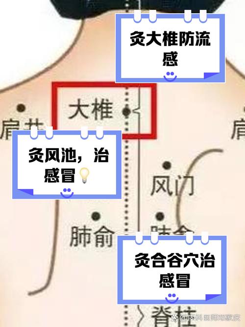 风寒感冒艾灸什么穴位