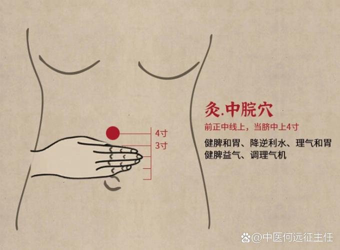 脾胃虚寒艾灸哪些穴位