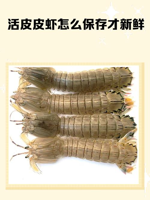 风湿类风湿能吃虾皮吗