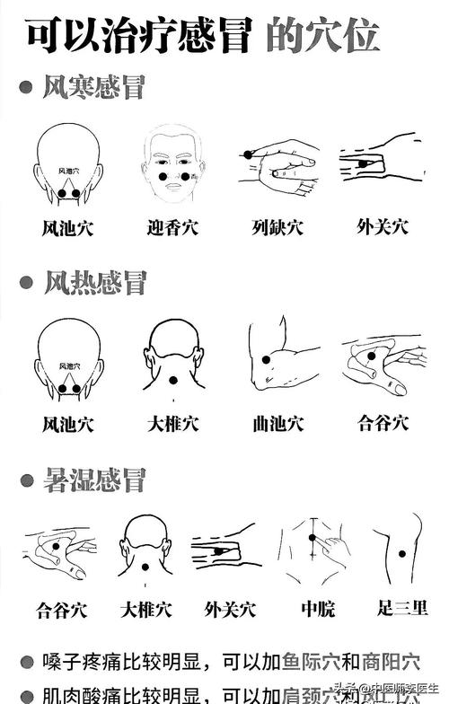 感冒发烧按摩什么穴位