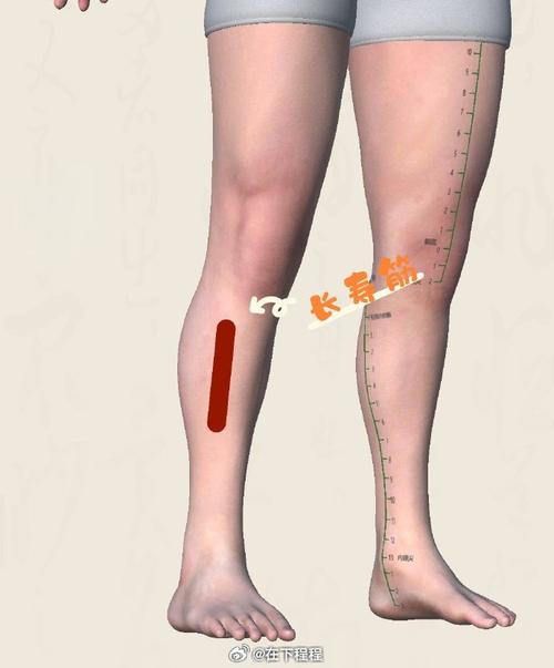 小腿肌肉萎缩针灸穴位