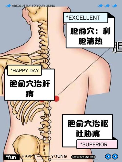 胆囊不好按摩哪些穴位
