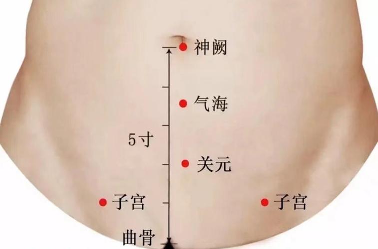 气血阴虚艾灸什么穴位