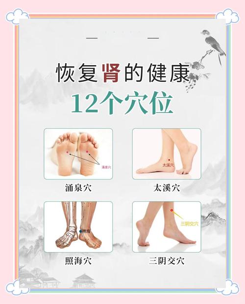 人体哪些穴位可以壮阳