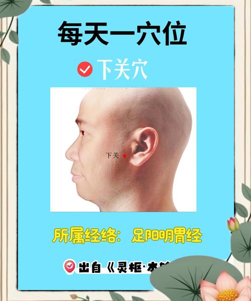 牙疼应该按摩哪个穴位