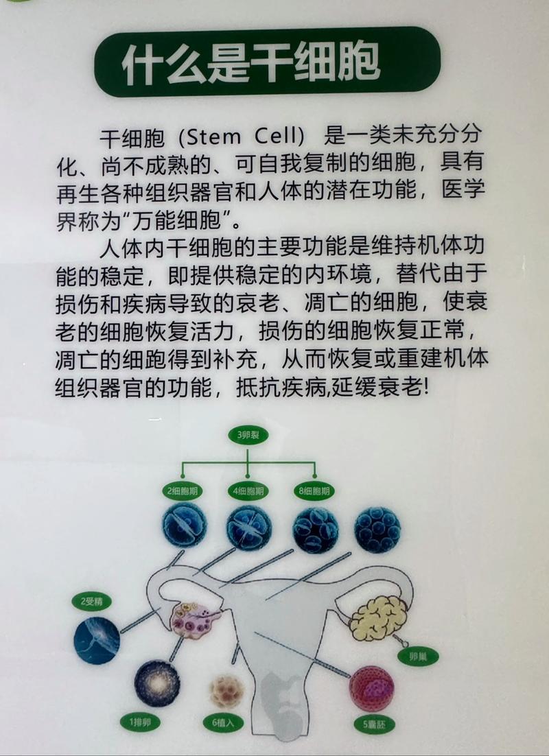 干细胞治疗风湿类风湿